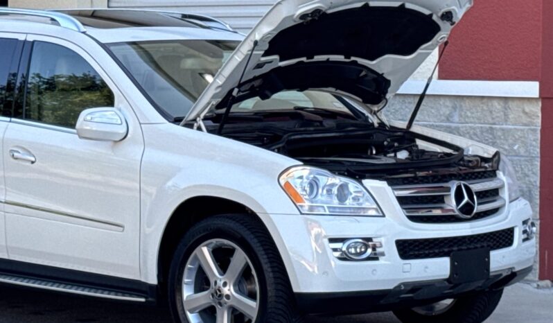 
								2009 Mercedes-Benz GL450 4MATIC full									